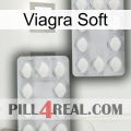 Viagra Soft 17